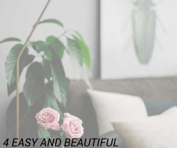 4 Easy and Beautiful Houseplants for Your Home