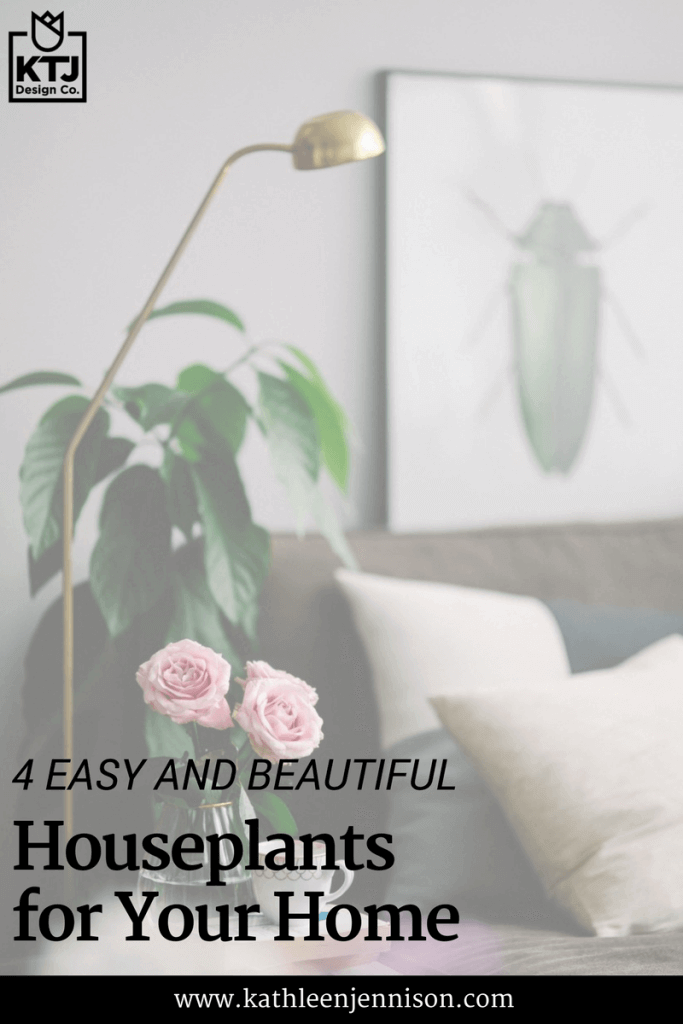 4-easy-beautiful-houseplants-for-home