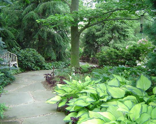 Slate in Garden by Statile & Todd