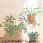 Blog Post Ktj Design Co Effortlessly Update Your Space With Wallpaper Pinterest.png