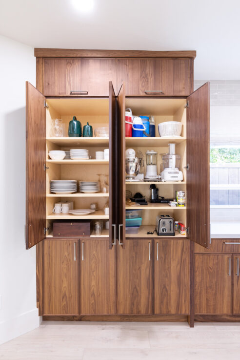 kitchen-cabinetry-storage-design