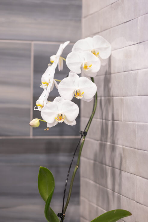 orchid-detail-shower-interior-design
