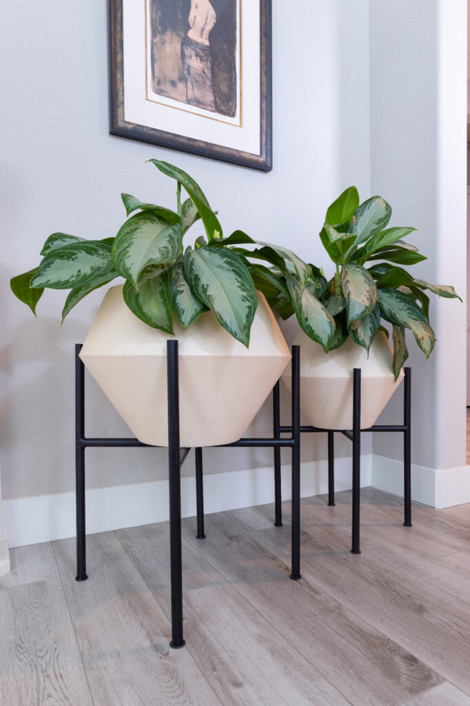 Ktj Design Co Premier Interior Designer Manteca California Potted Plants Ho9a0287